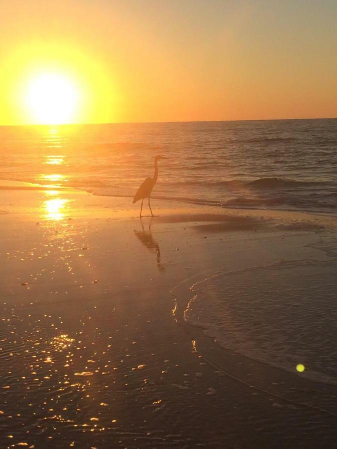 Beautiful! Sunset Harbor Condo For 2-Top Floor 1-309, Navarre Beach Екстериор снимка